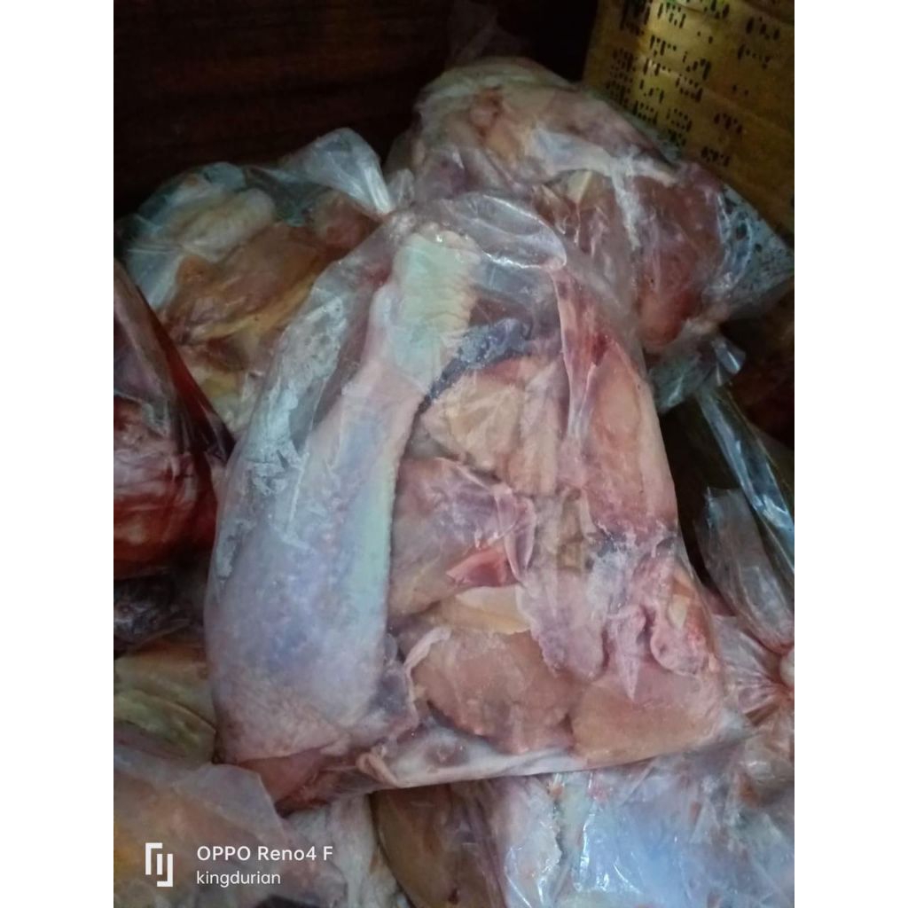 

Ayam Parting Petelur ±1Kg