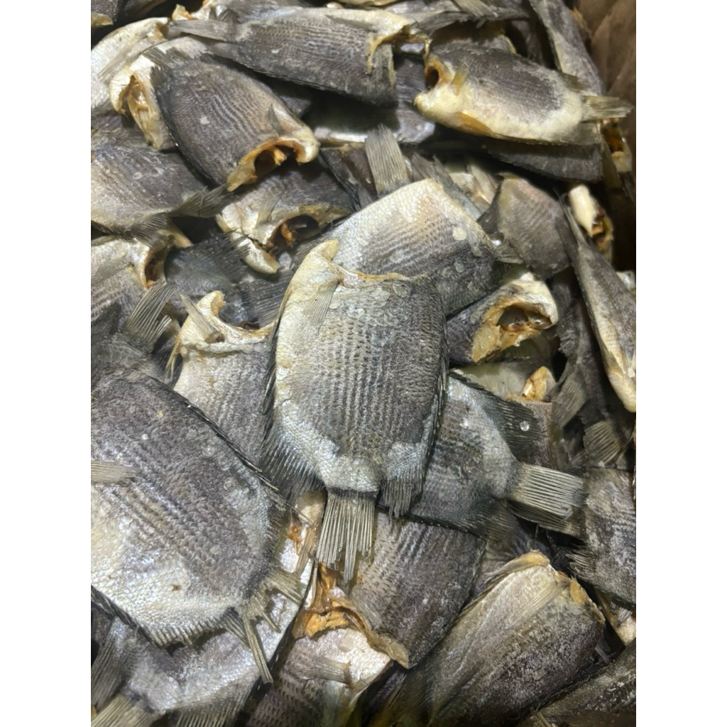 

Ikan Asin Tembakang/Biawan Jumbo 1000gr