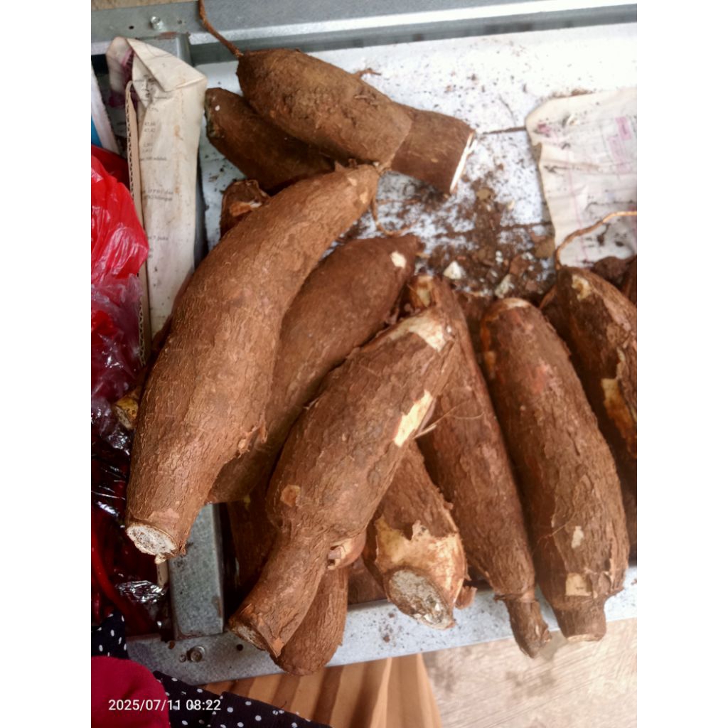 

SINGKONG/EMPUK/1 KG/500 gram/SMBB/Sayurmayurbpkbaum