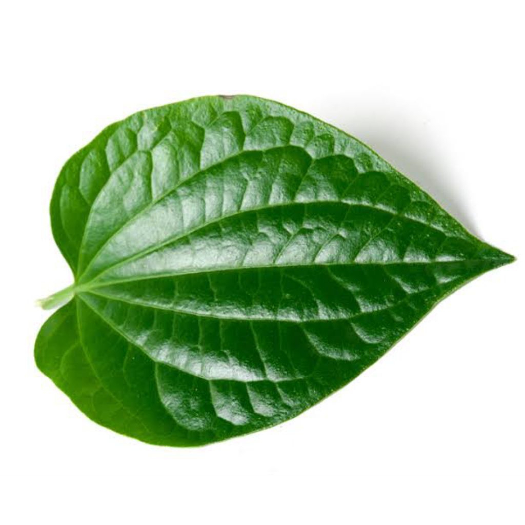 

Daun Sirih Isi 100 Lembar