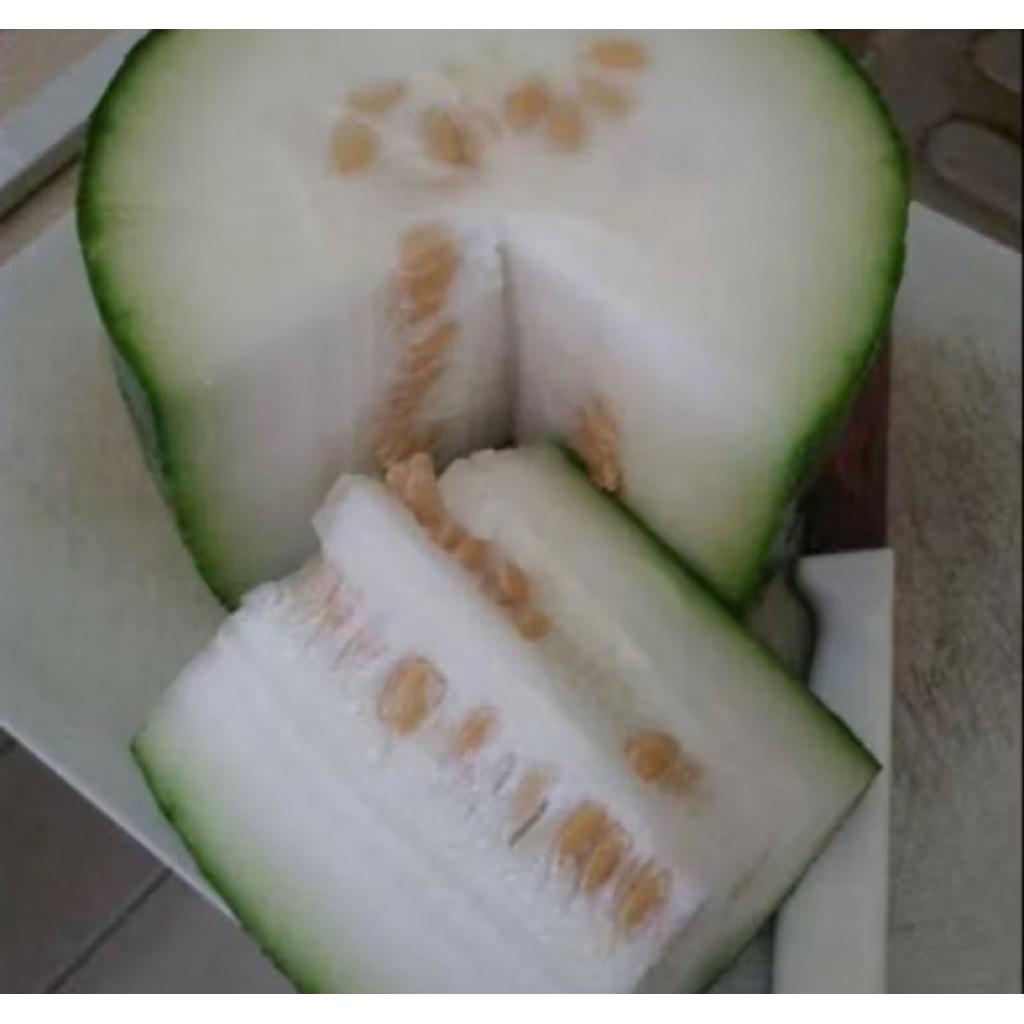 

buah bligo/kundur segar baru petik berat 1-1,5 kg