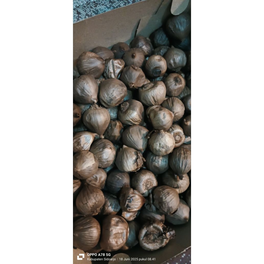 

D'queenara BLACK GARLIC 120 gram