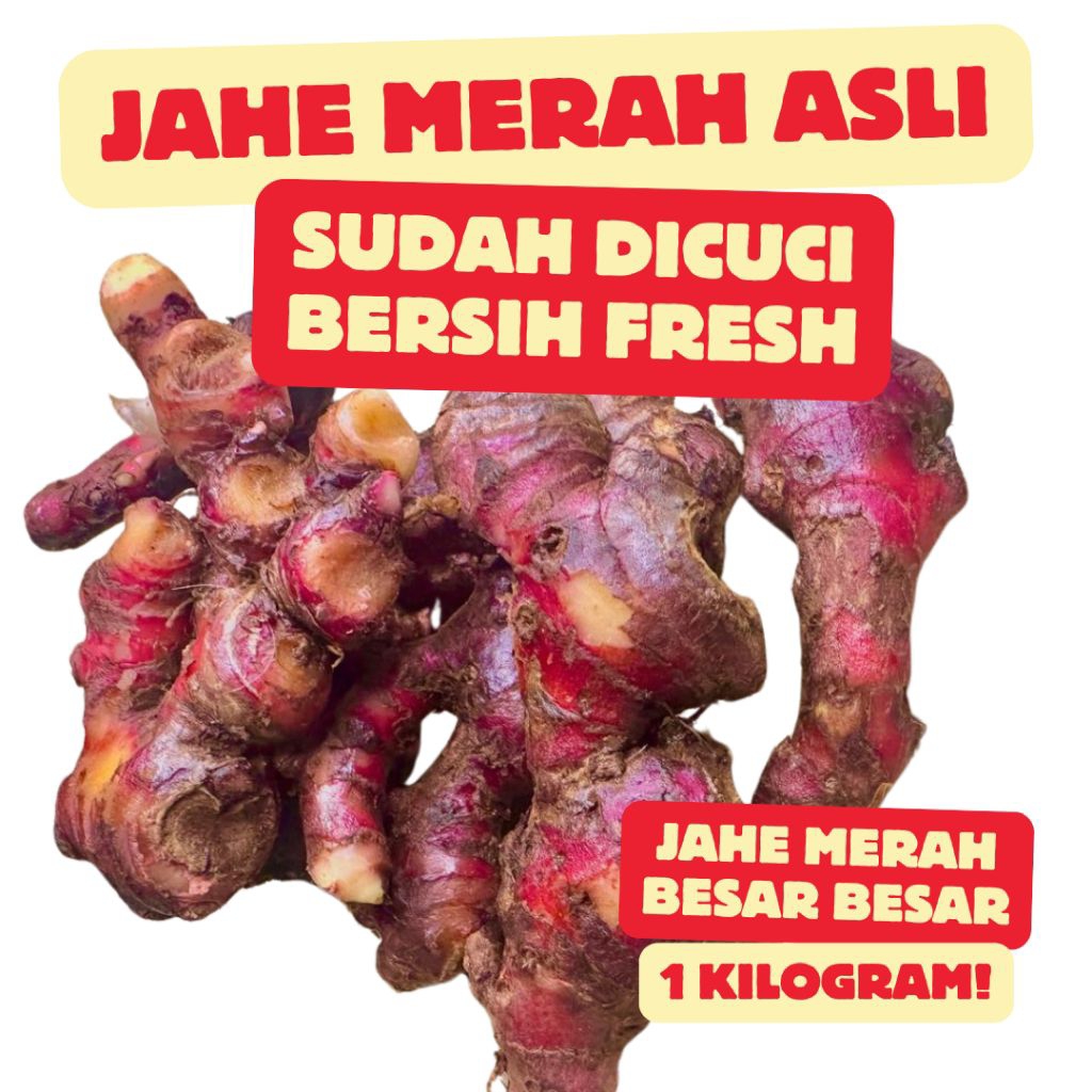 

JAHE Merah super fresh Setengah kilo/500 gram Ter baik