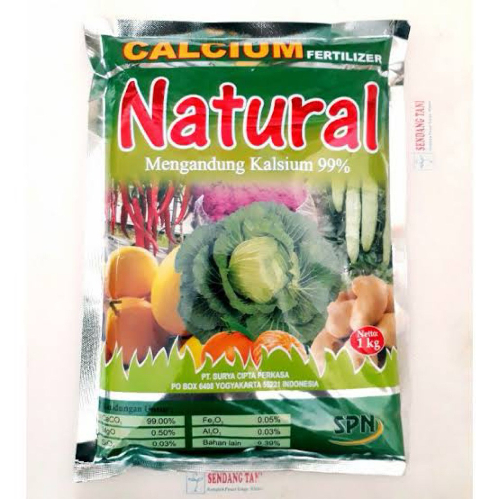 PUPUK NATURAL KALSIUM 99 % NETTO 1 KG / PERANGSANG TANAMAN / KALSIUM TANAMAN / PENYAKIT LAYU