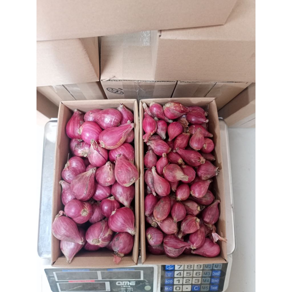 

Forcysn (Bisa ) 500Gr Bawang Merah Brebes Ukuran Besar Fres Dan Kering Bagus Bm Brebes Setengah Kilo