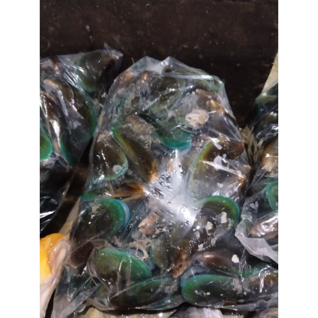 

kerang ijo/hijau hidup1 bungkus(-/+1) , bader panggang, grago basa fresh.