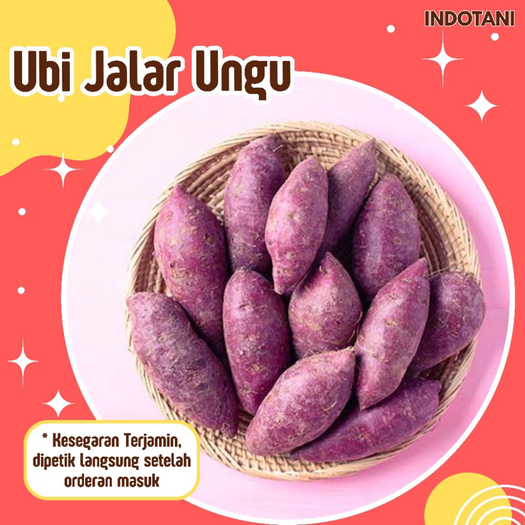 

INDOTANI_ Ubi Jalar Segar / Ubi Jalar Ungu / Ubi Jalar Putih