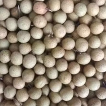 

Buah Kelengkeng Madu 1 kg