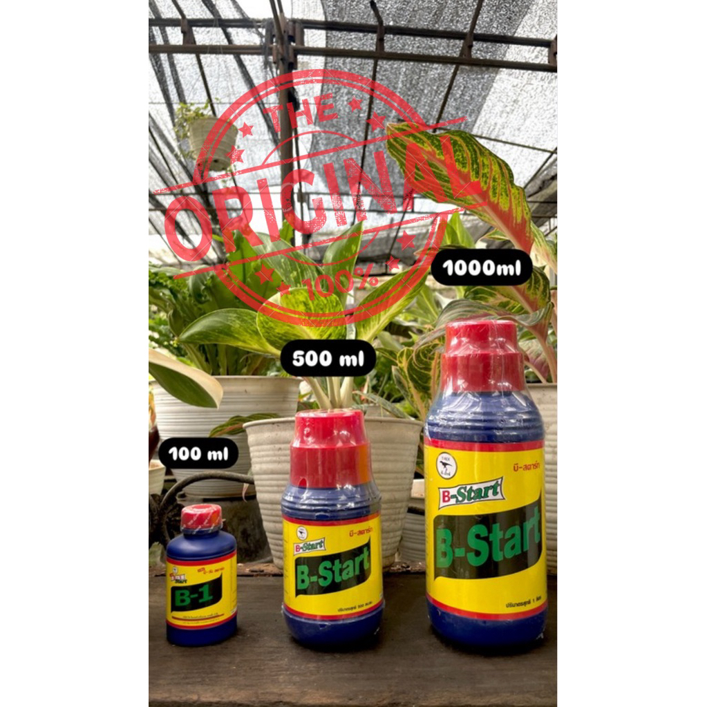 IS Vitamin B1 Thailand Original 1000 mL 500 mL 100 mL