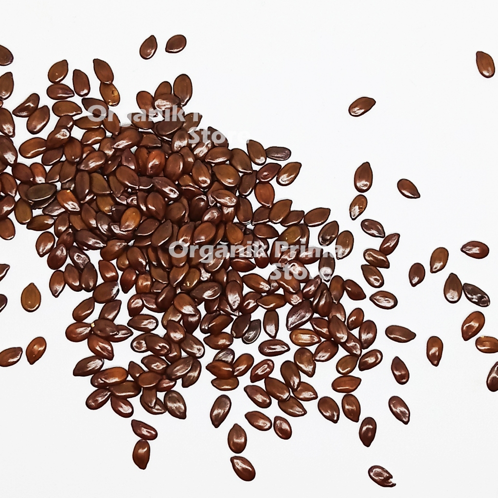 

Biji Lamtoro Kering 250gr Asli Bersih dan Organik