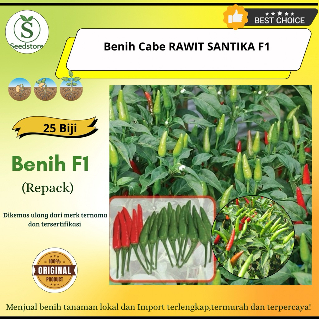 25 Benih Biji Cabe Rawit santika f1-CABE RAWIT UNGGUL F1 QUALITY