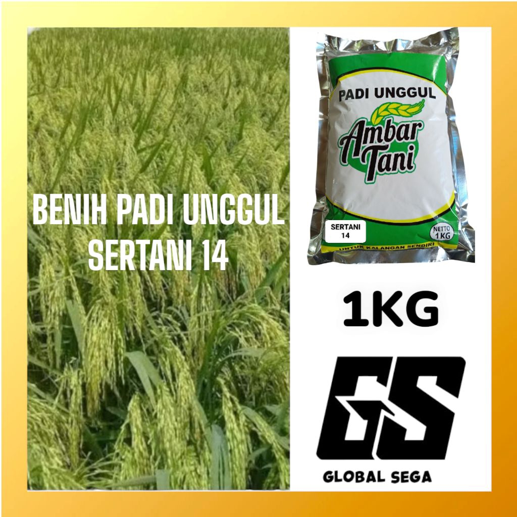 Benih Padi Bibit Padi SERTANI 14 PREMIUM Kemasan 1KG