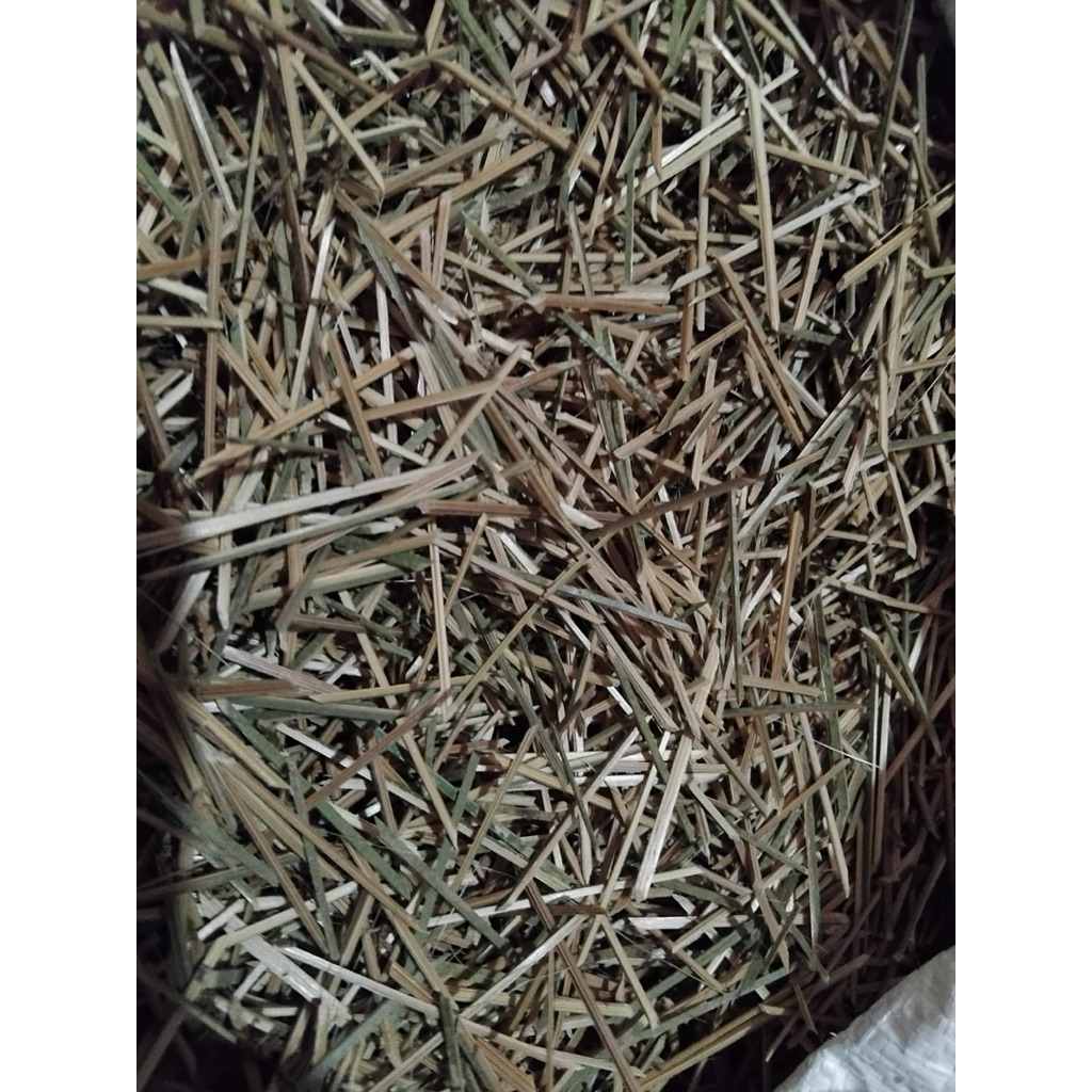 biting lemper :  biting lontong kulitan / biting bambu 1kg