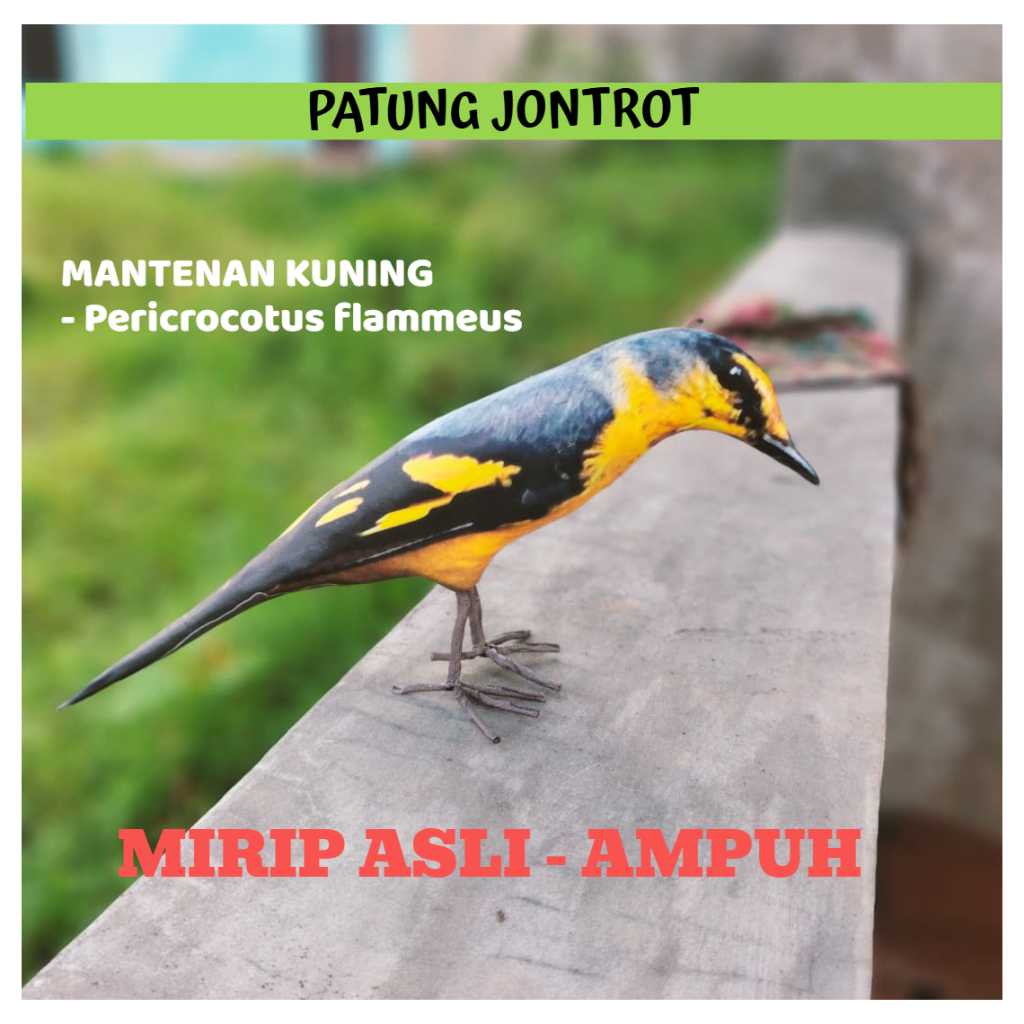 PATUNG JONTROT BURUNG MANTENAN KUNING - JONTROT BURUNG MANTENAN KUNING