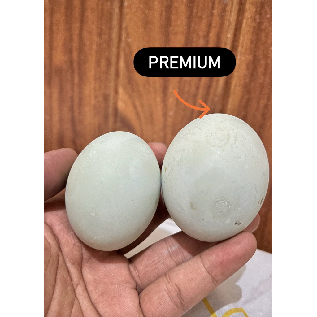 

TELUR ASIN PREMIUM SIZE L– Telur Asin Bebek
