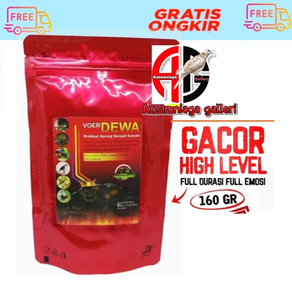 VOER DEWA HALUS MERAH VOER BURUNG PLECI KOLIBRI SOGON VOER LOMBA