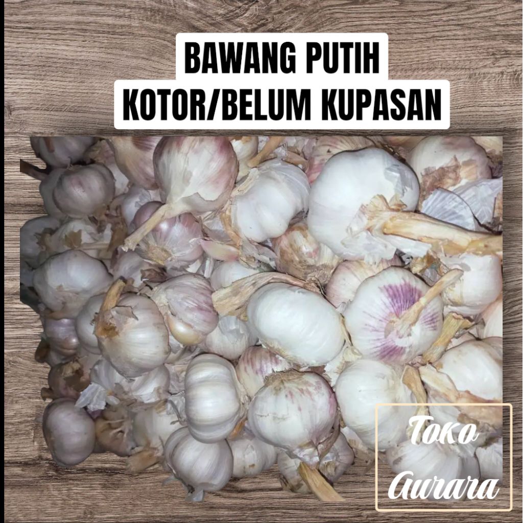 [READY]Bawang Putih Sinco KOTOR