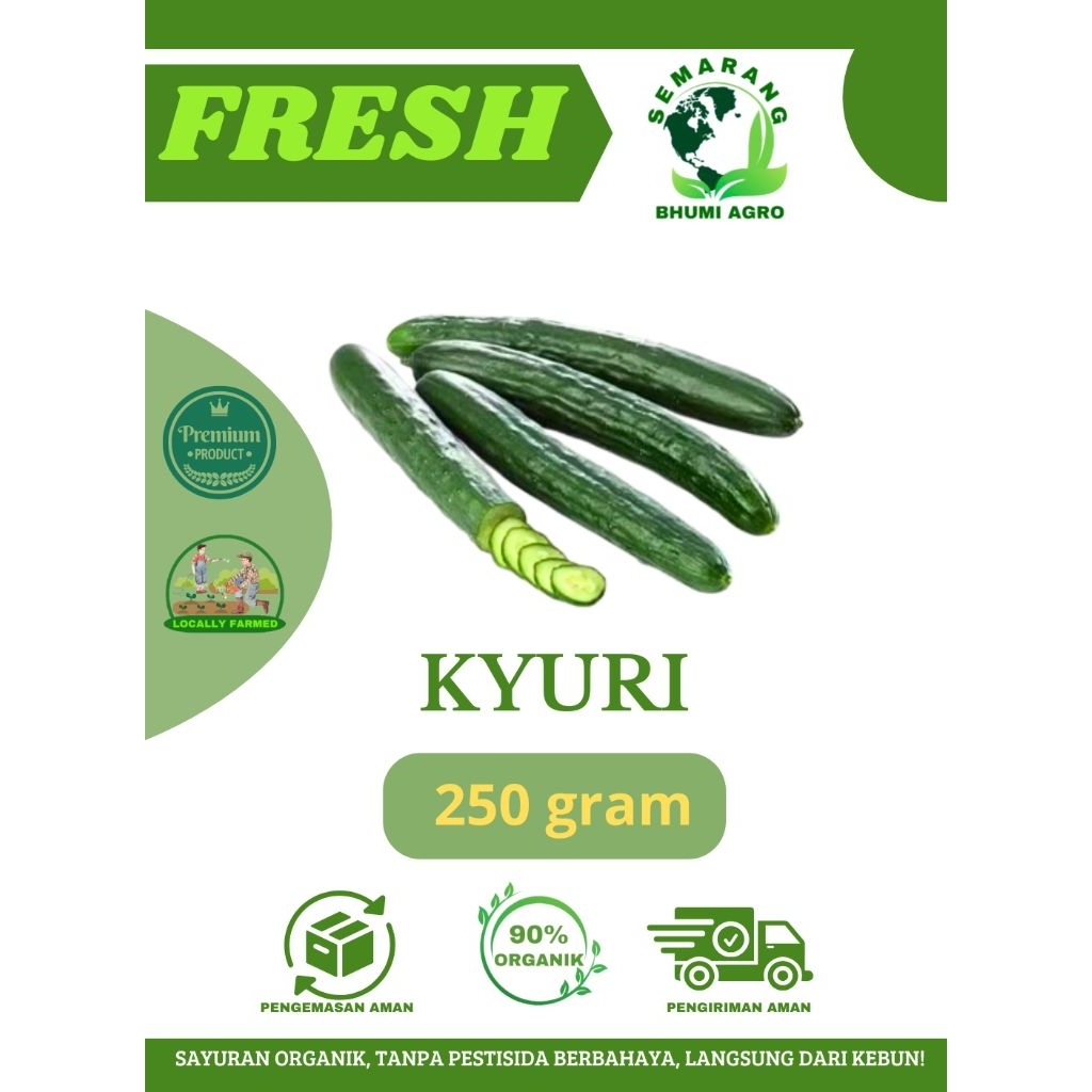 

Kyuri ( Timun Jepang ) Segar & Organik – 250gr | BHUMI AGRO