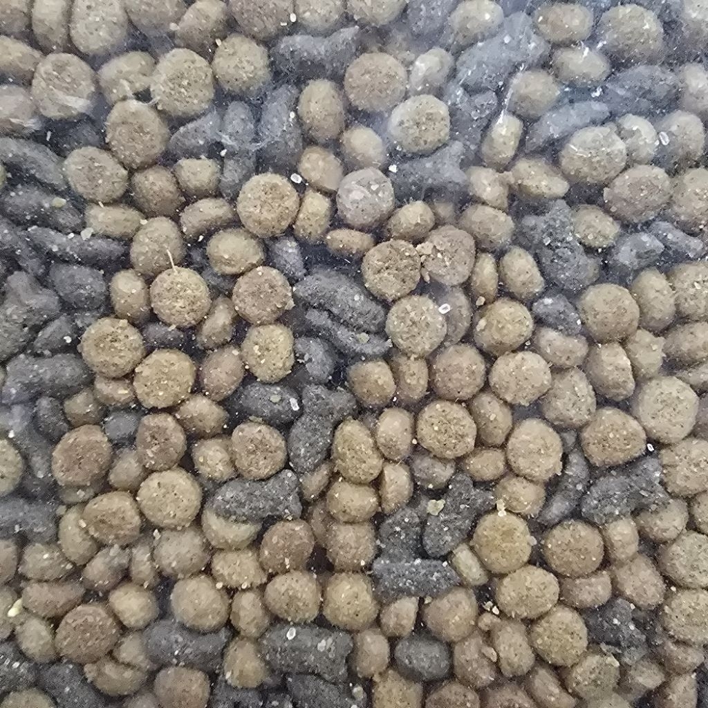 ChickenTuna // Makanan kucing kemasan 1kg dryfood anak dewasa kitten baby untuk penggemuk badan dan 