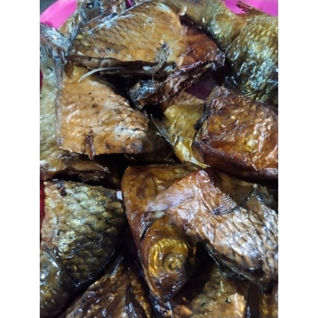 

1 kg ikan segar fresh tuna, bader panggangan, kerang hijau kulit,grago.