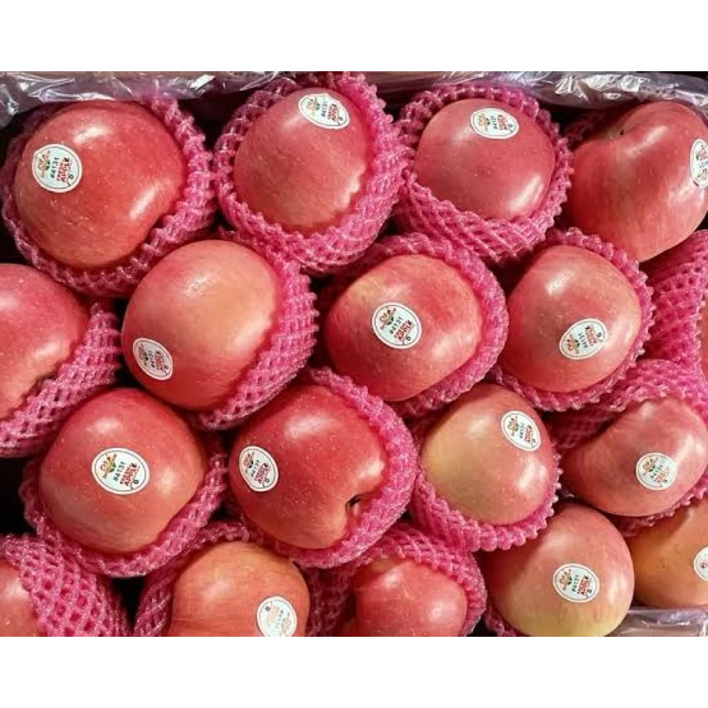 

Buah Apel Fuji Segar 1Kg