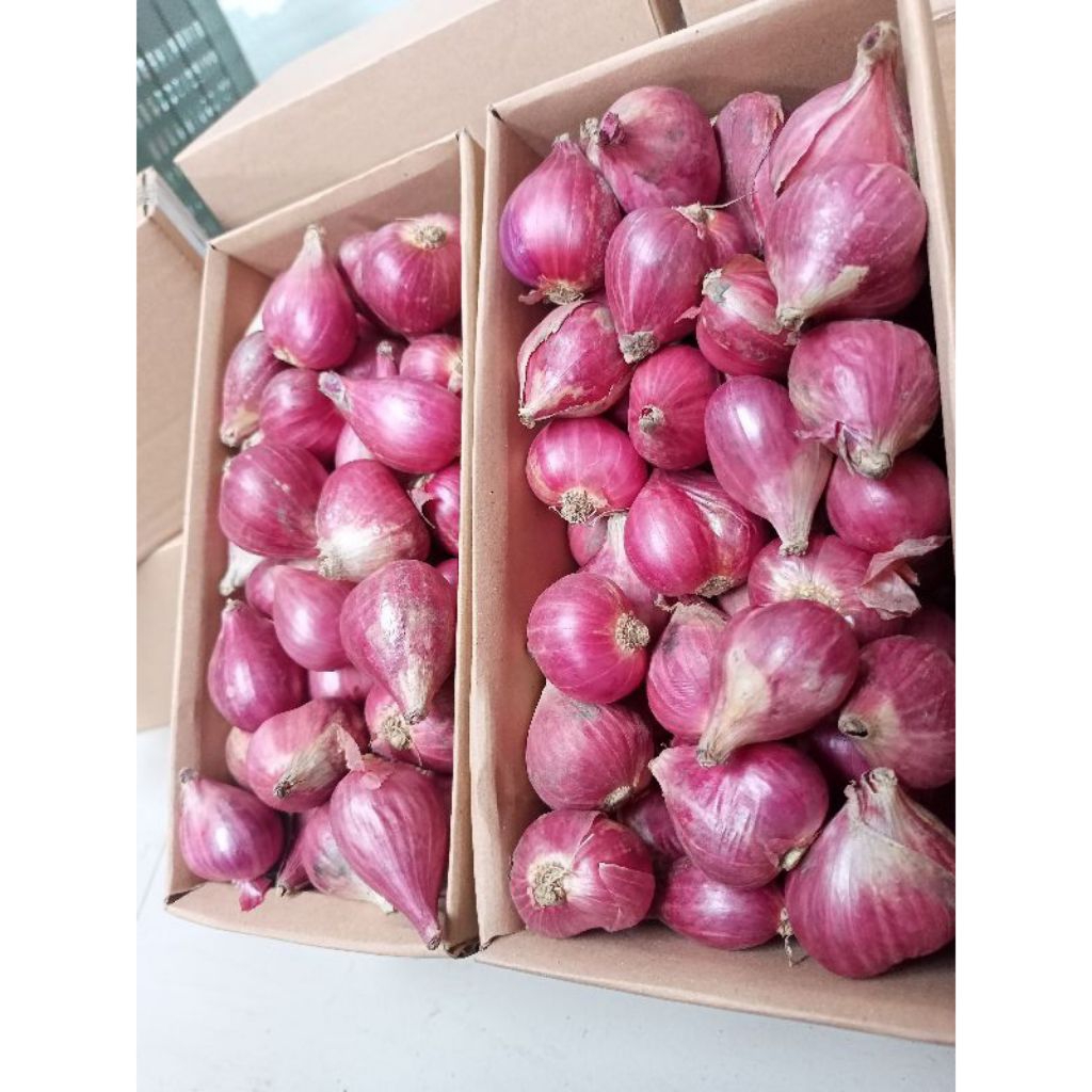 

Bawang merah fresh wangi 250gr