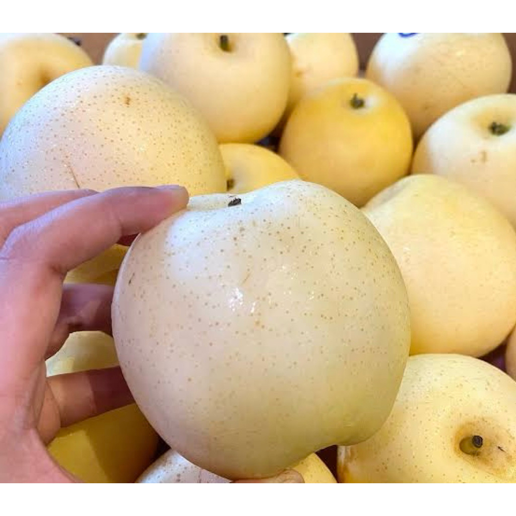 

Buah Pir Segar