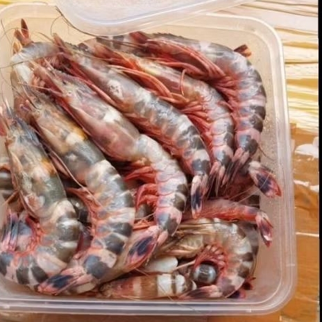 

Udang Windu Frozen 1 box