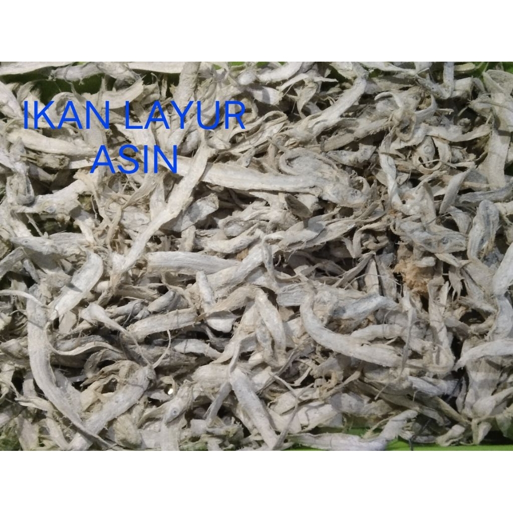 

IKAN LAYUR ASIN 200 Gram