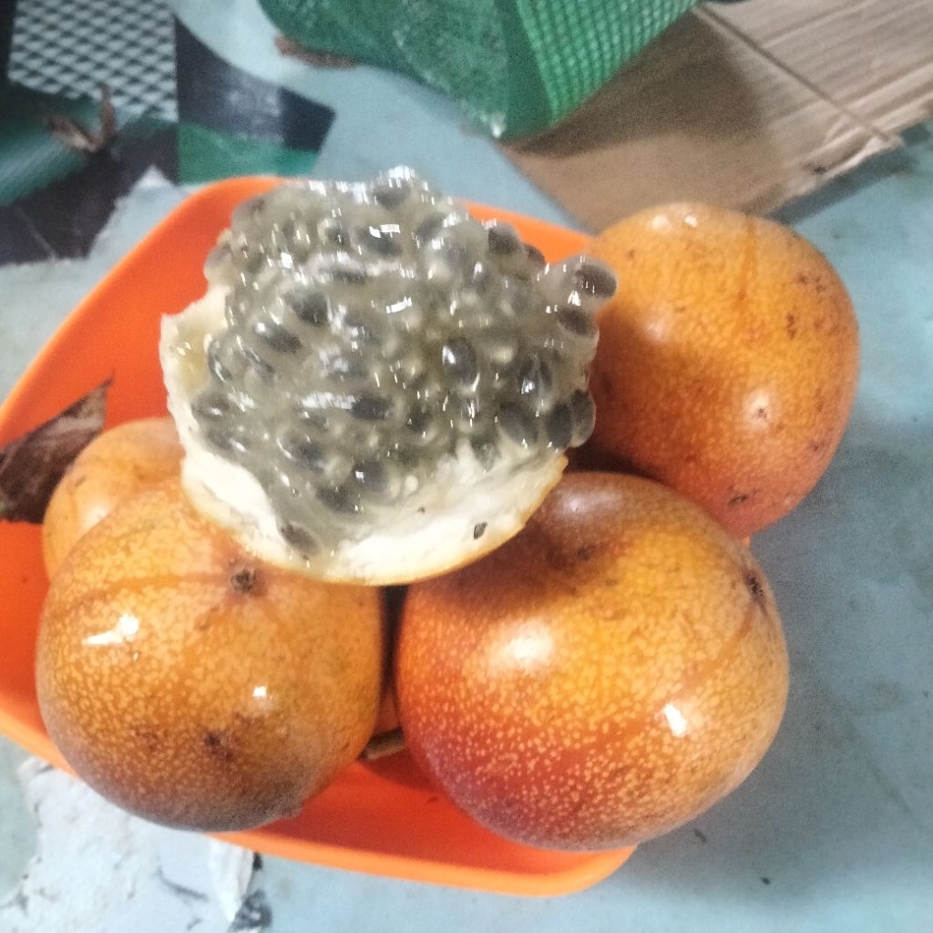 

konyal markisa madu 1 kilo l manis I kualitas premium l BERGARANSI dan free biji siap tanam