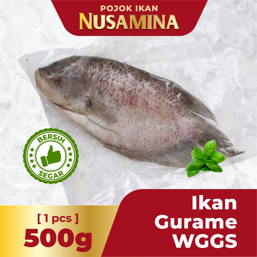 

Nusamina Ikan Gurame WGGS Bersih Sisik dan Insang Dalam. Tidak Bau Tanah [1 pcs] / 500gram