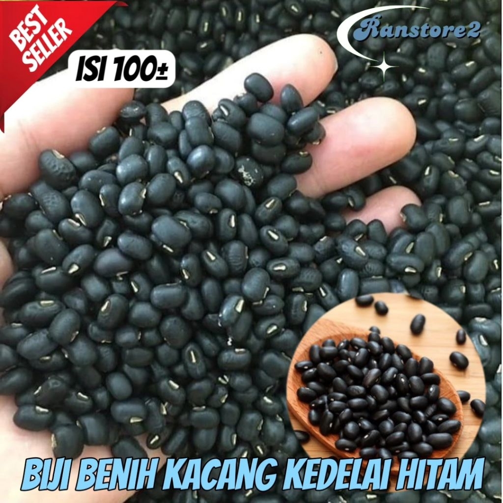 

(100±) BENIH BIJI KACANG KEDELAI HITAM