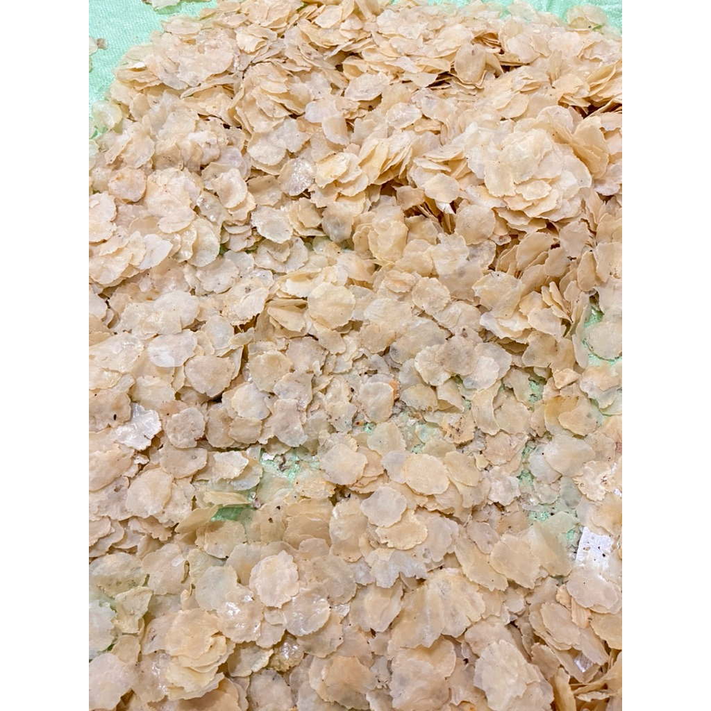 

Emping melinjo mentah 1,5 kg full kering SP BIJI 1&2 super tipis 100% original tanpa campuran