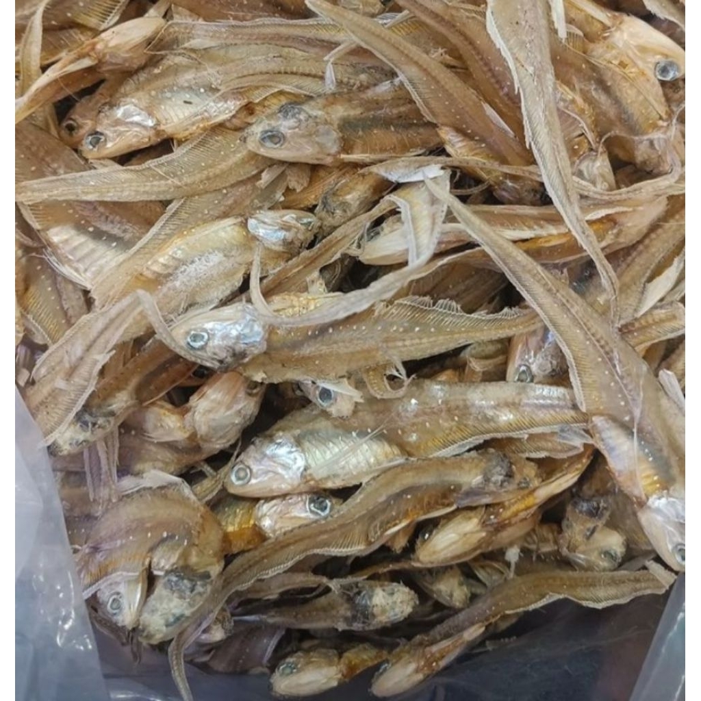 

Ikan Asin Bulu Ayam / Ikan Asin Runjing / Hong Bue Pou / Fung mi fu / Hongbuepou / fungmifu / Ikan Bulu Ayam Asin / Ikan Asin Kalimantan Barat / Ikan Asin Pontianak