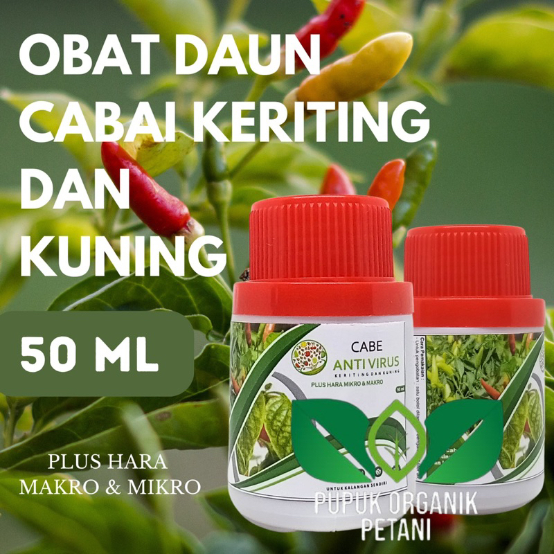 TOP Pupuk Organik cabai Anti Virus Keriting obat Daun Menguning Cabe Atasi Daun Kuning dan Keriting