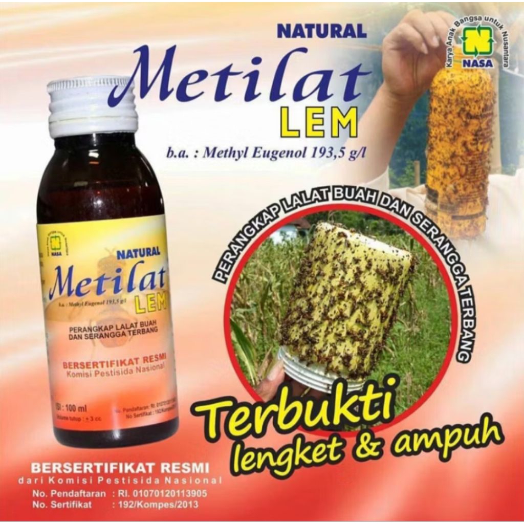 Metilat Lem Lalat Buah, Lem Perangkat Lalat Buah