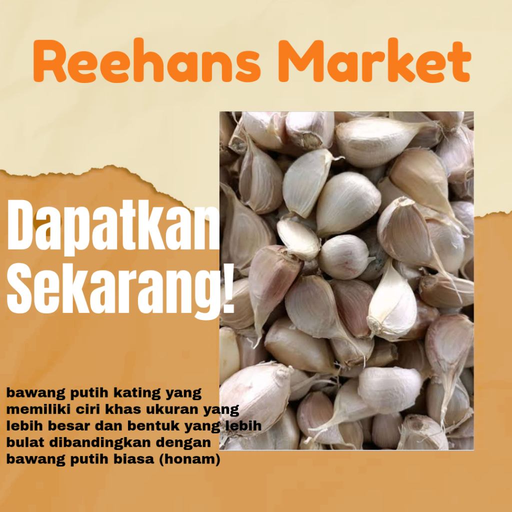 

Bawang Putih Kating Bersih fresh Premium dengan kualitas import