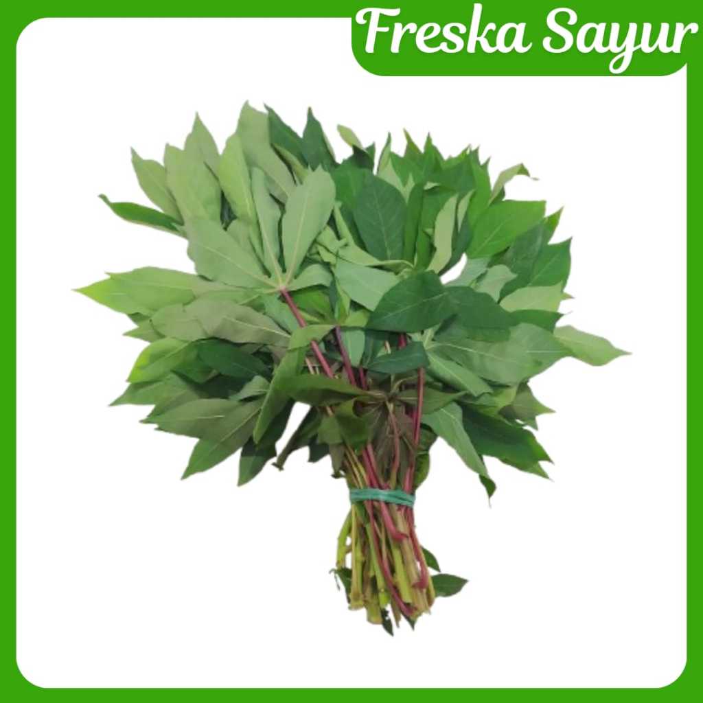 

Daun Singkong Muda 1 Ikat I Fresh Young Taro Leaves