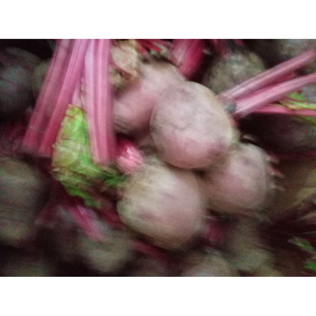 

Umbi BIT / Buah Betavulgaris segar kg