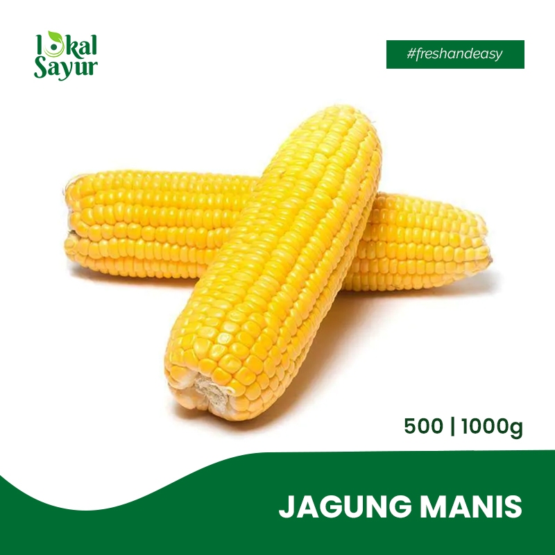 

Lokal Sayur - Jagung Manis Segar Pilihan Kualitas Terbaik