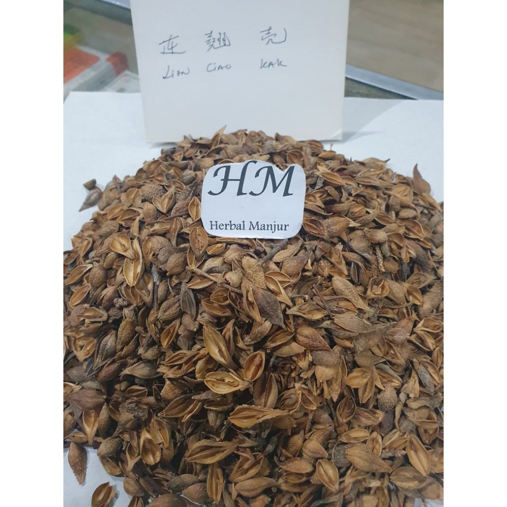 

连翘 Lian Qiao / Forsythia suspensa (Thunb.) Vahl