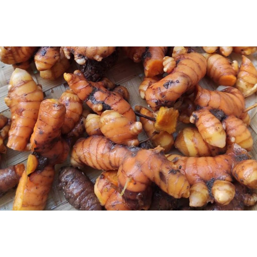 

Kunyit Murah | Kunyit Segar Asli | Kunyit Murah 1 Kg cuma 9000 !|1 Kg Kunyit Asli Segar Dari Kebun Petani |