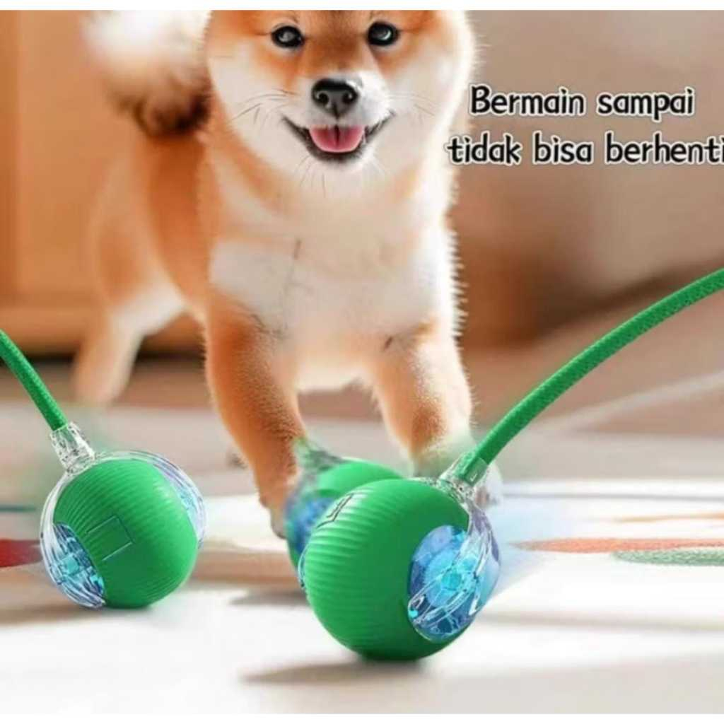 Mainan Bola Kucing Bola Listrik Lampu Bola Mainan Interaktif Peliharaan