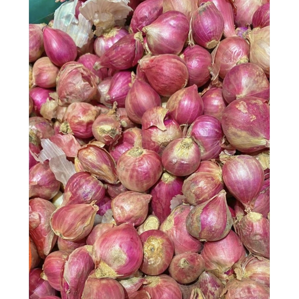 

Bawang Merah Super Kualitas Asli Probolinggo Grade A Kering Kemasan 250gram| 500gram| 1Kg