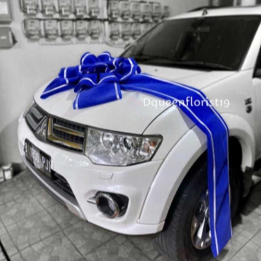 

PITA MOBIL CHRISTAL WING LIS