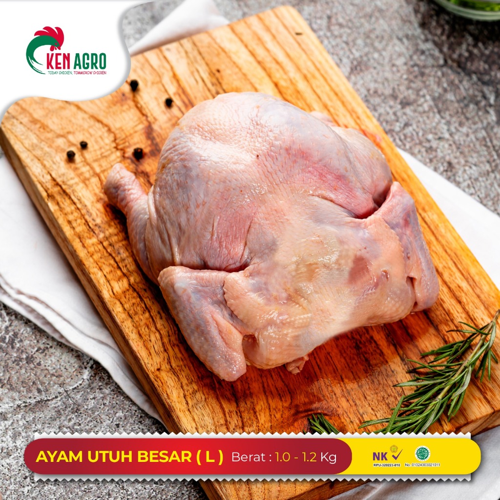 

Ayam utuh Probiotik bersertifikat HALAL rendah lemak , rendah kolesterol , lebih sehat