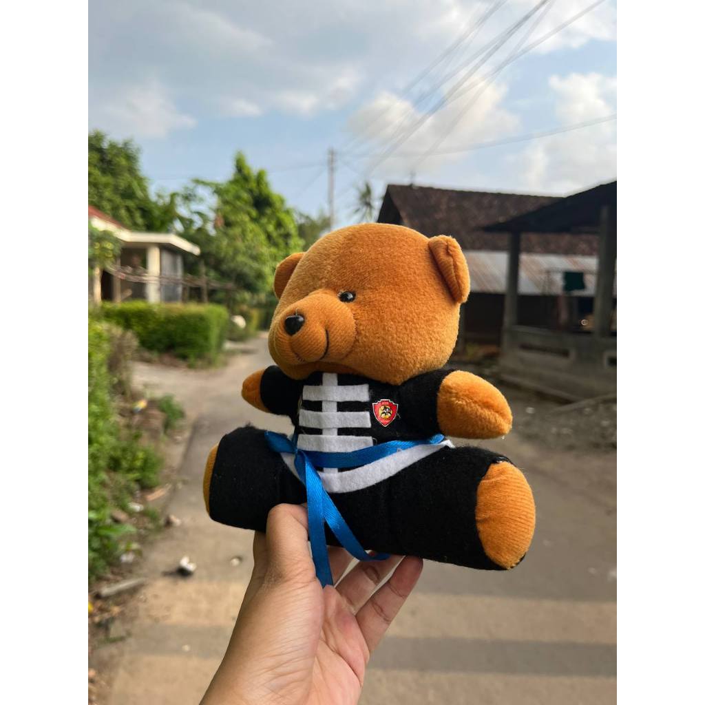 Hot Deals Myderra Bear Mini Boneka Pencak Silat Ikspi Kera Sakti Ukuran 13 Dan 15 Cm