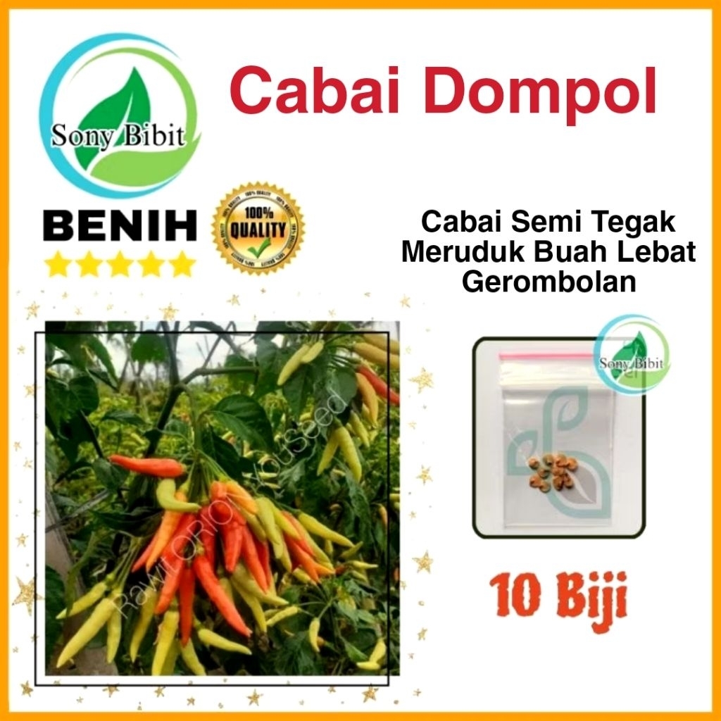 10 Benih Cabai Rawit Dompol Tipe Buah Dompolan Benih Kemasan Ekonomis