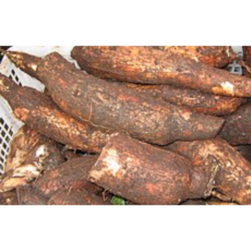 

umbi singkong pulen manis per 1kg