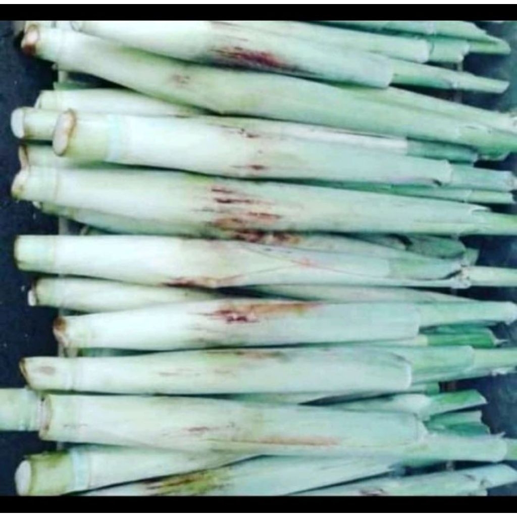 

sayuran turubuk segar 1kg